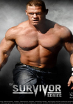 WWE Survivor Series 2008